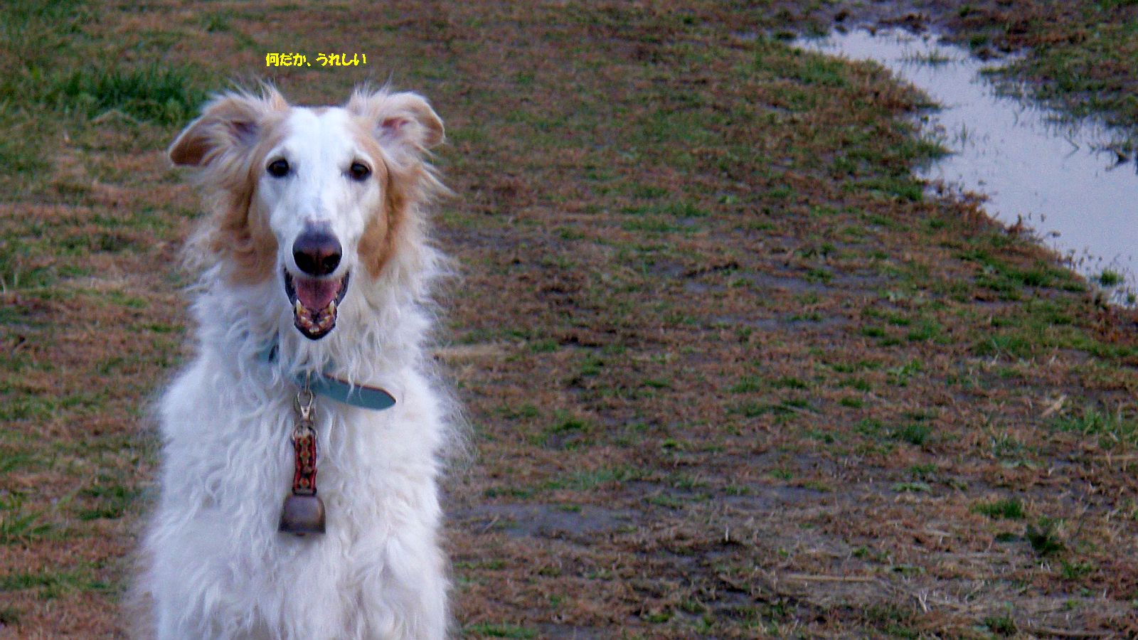 雪解けグチョグチョ