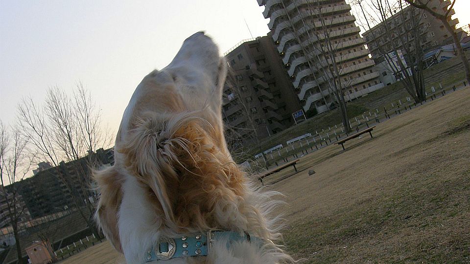 ホーーーーーー！