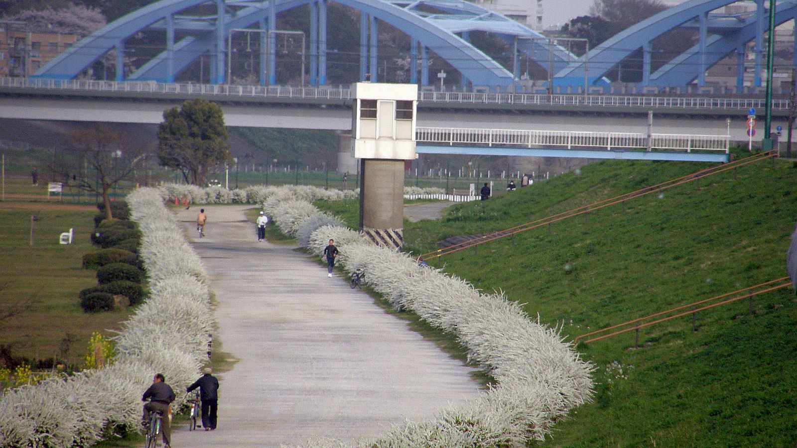 新聞の受け売り