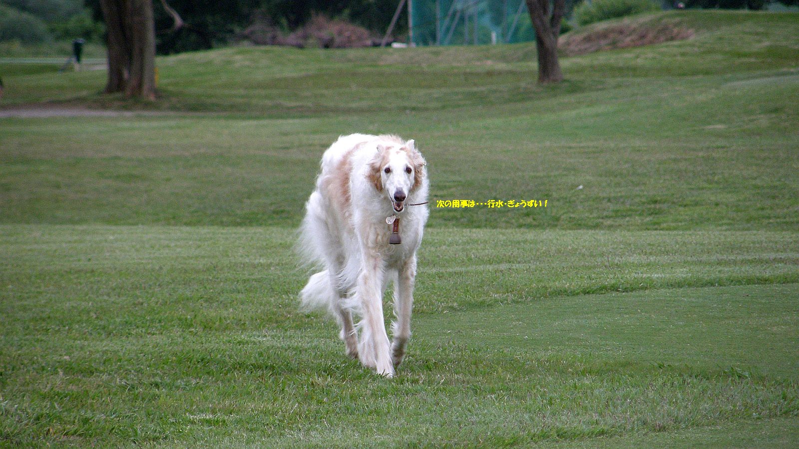 そのうち戻ってくる