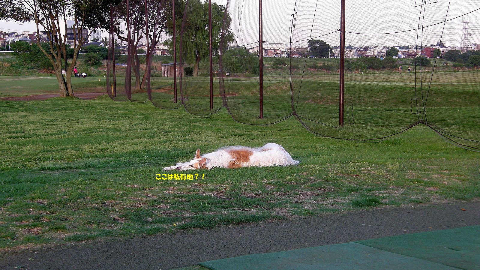 私有地の中はよろしいか？