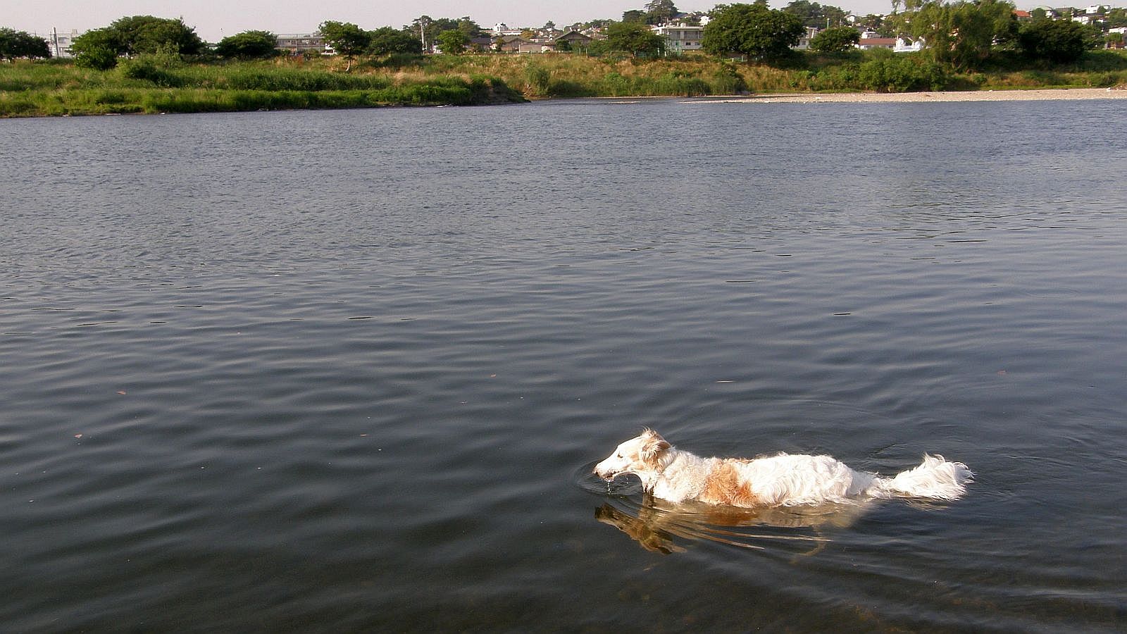 水は少し冷たい