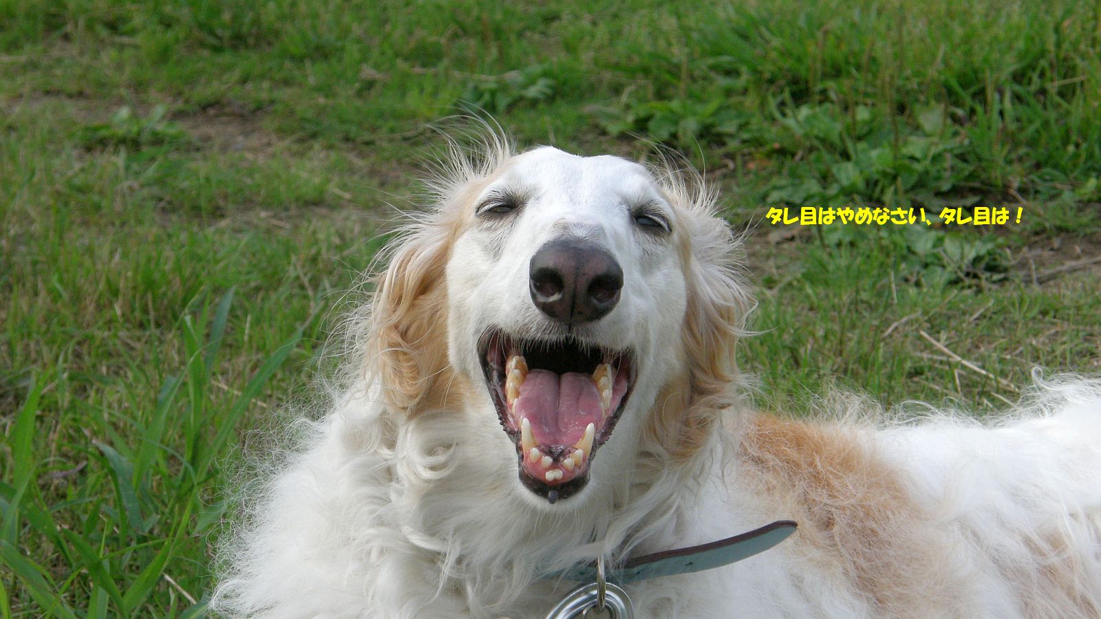 熱中症でヘロヘロ！