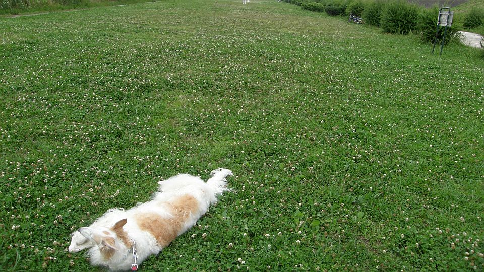 安息日って知ってるかぃ？