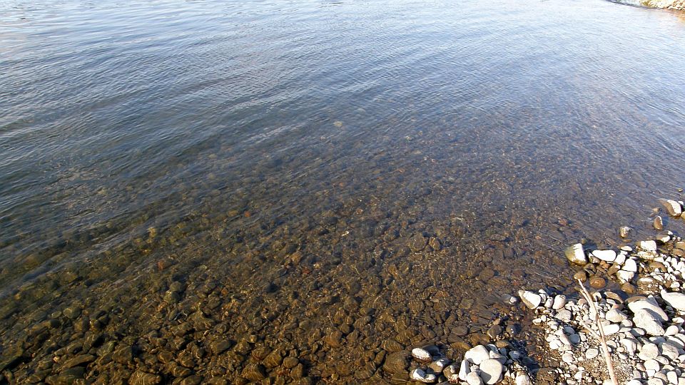 川底まで見える