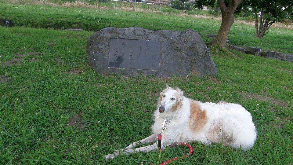 左の後ろに誰かいる。