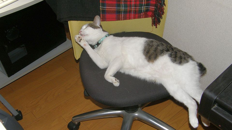 熱中症で動けない？