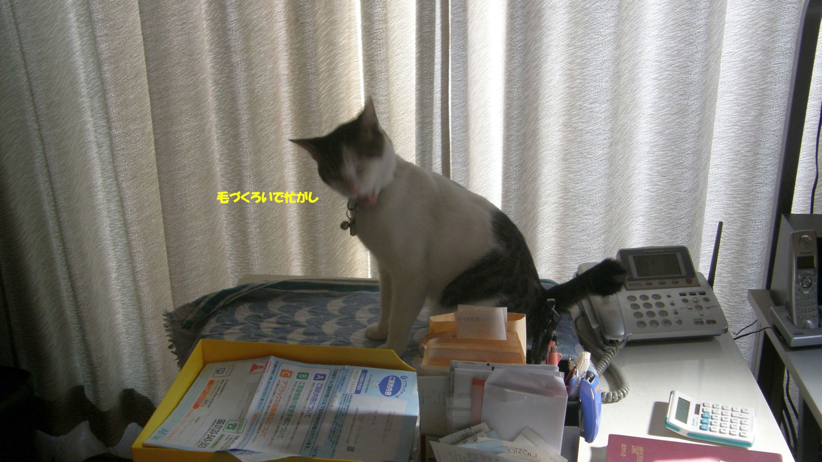 サウナの中のように蒸し暑い