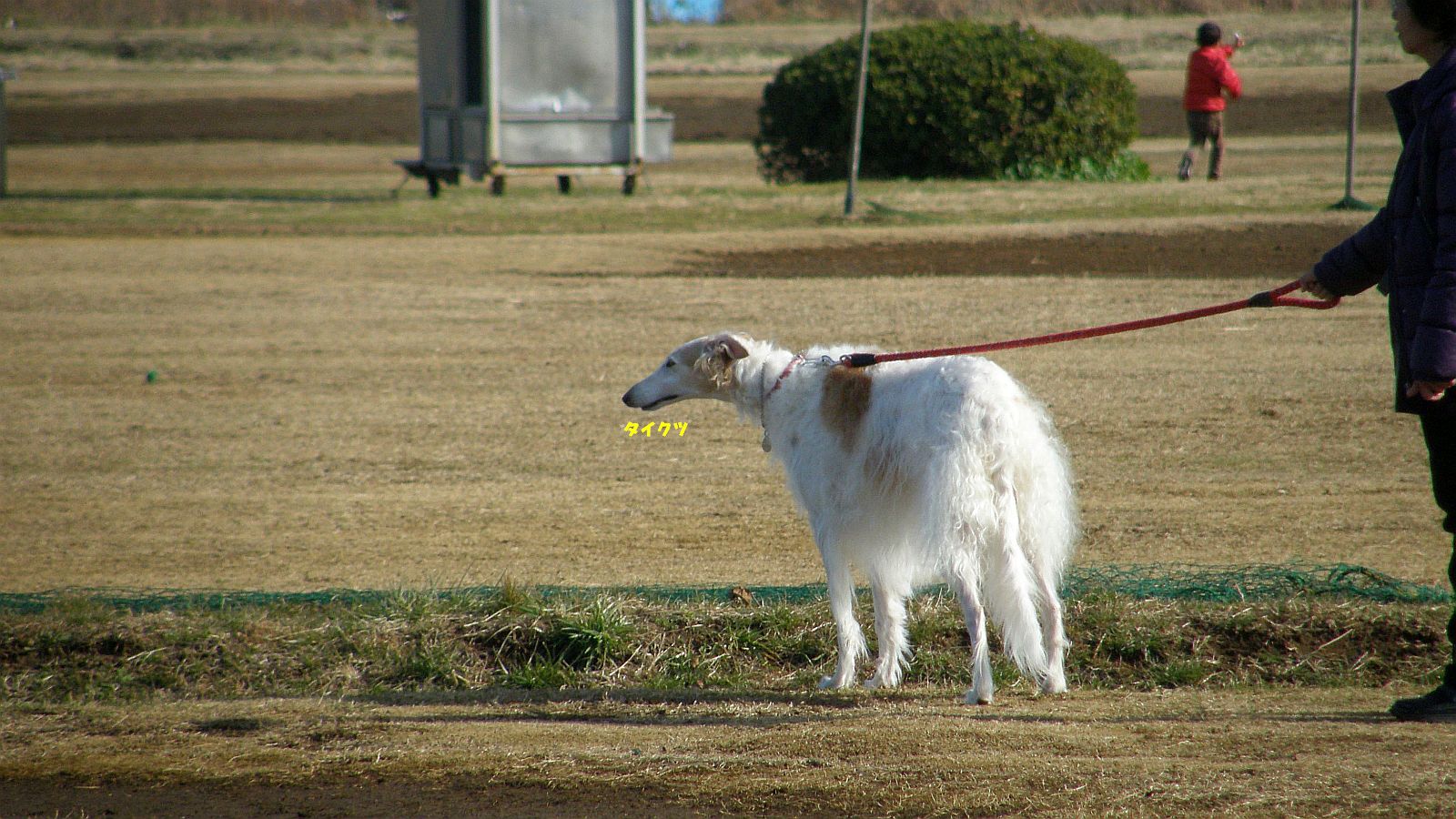 糸が短いーもう終り