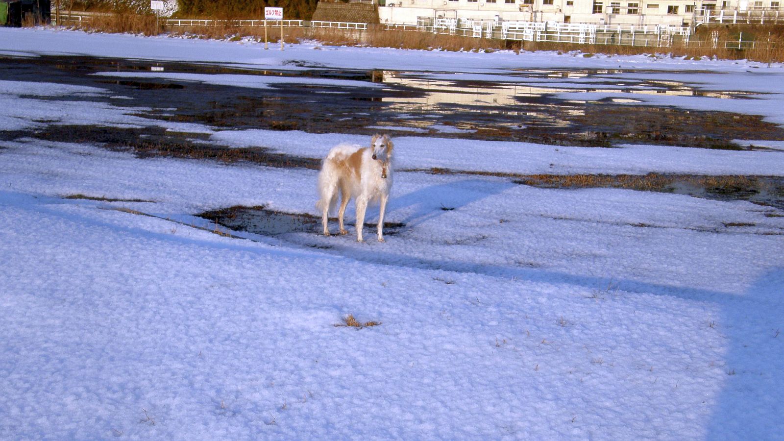 足がツメタイ！