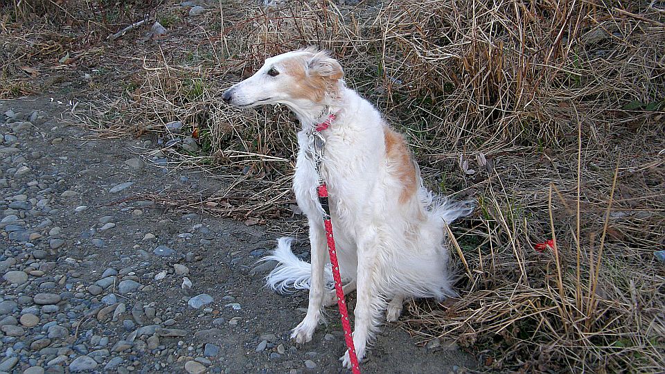 あっちが匂うぞ！