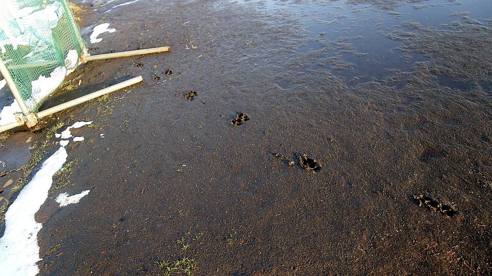 ぬかるみグチョグチョ