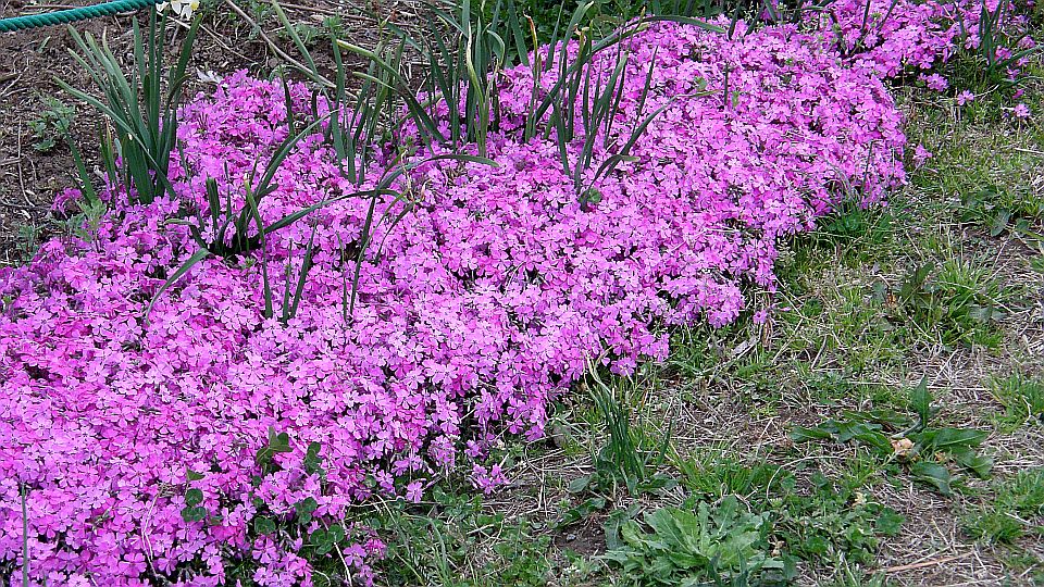 マーキングポイント