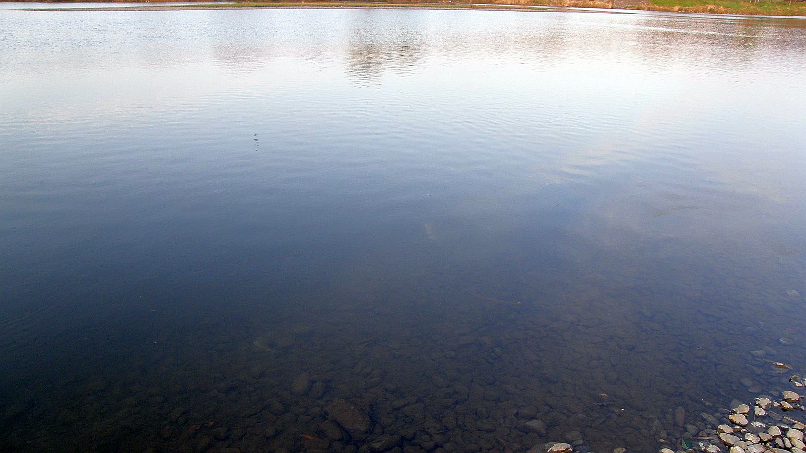 アユはどこじゃ！