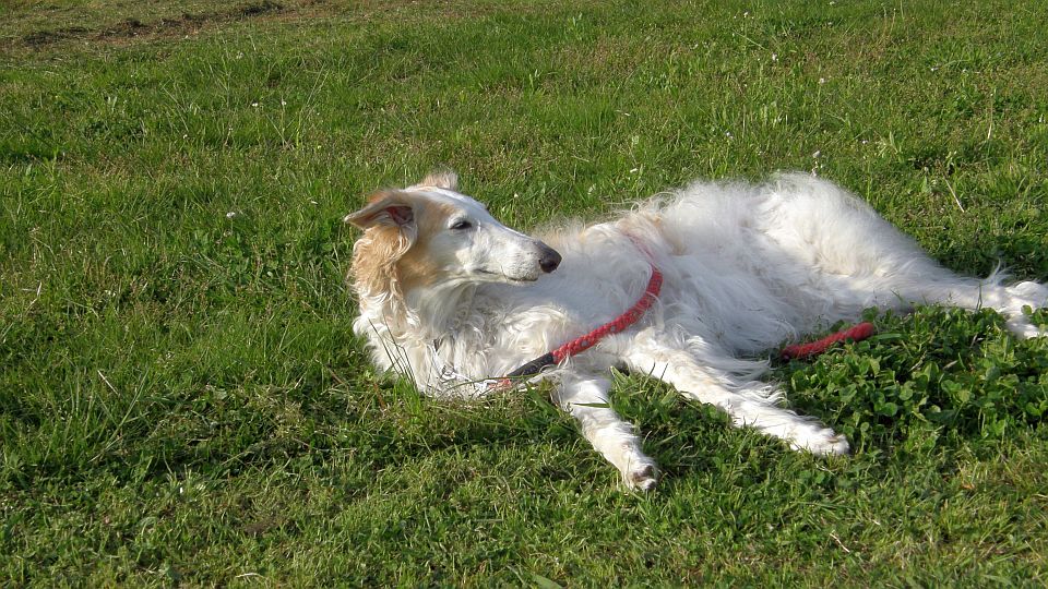 イビキをかくな！