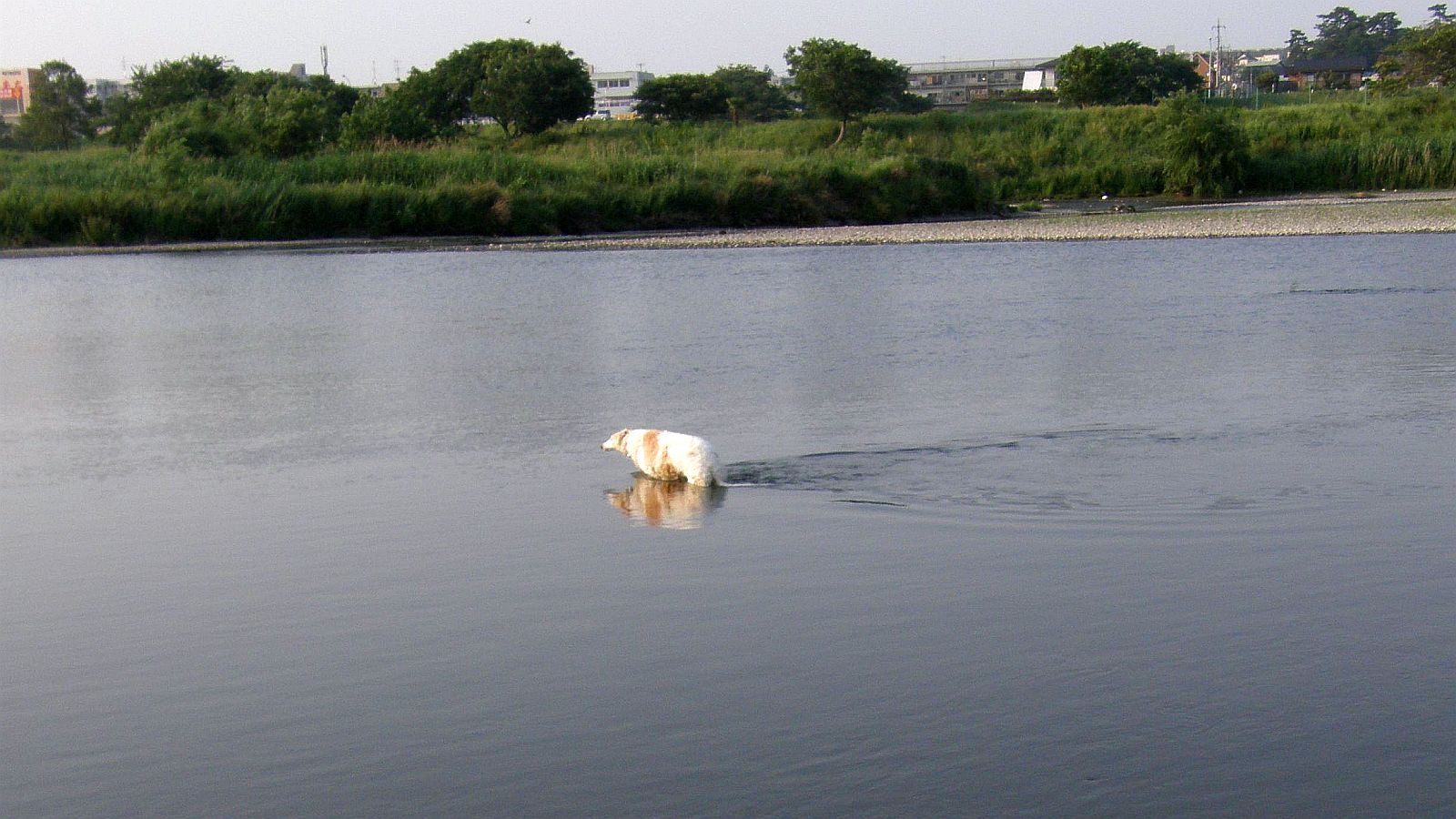 治っちまいやがった