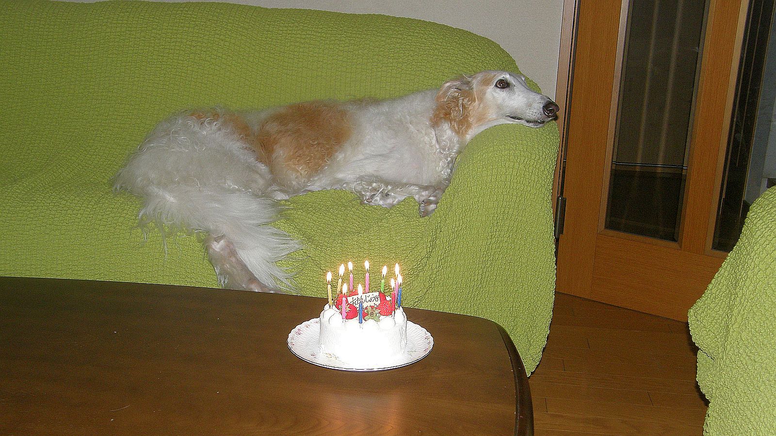 食べられない！