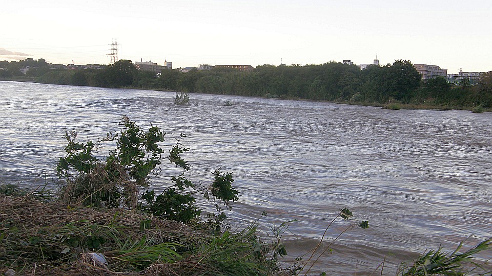 浄化には水不足