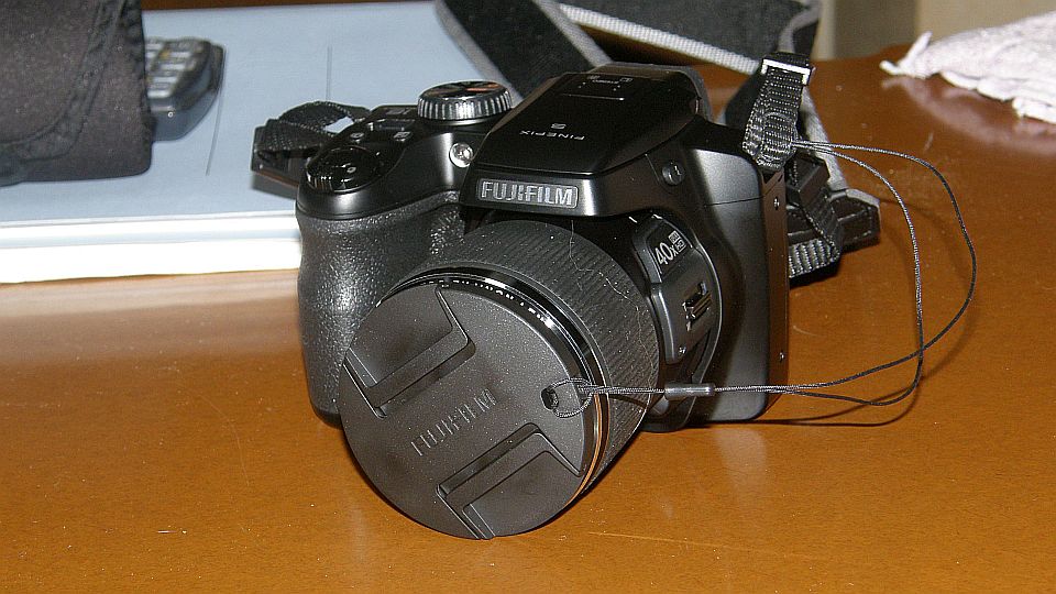 もう毛がついている