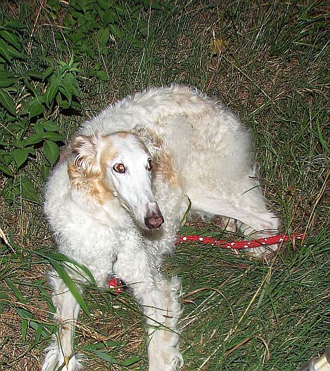 今年はカラフル 