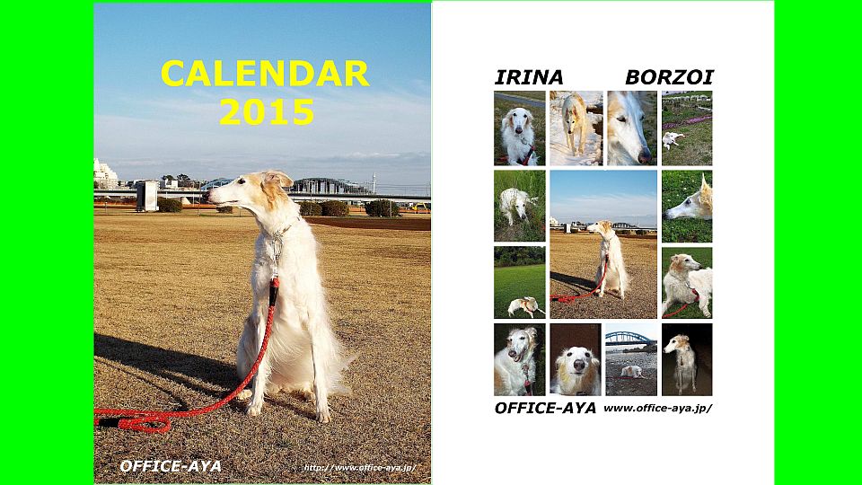 同じ場所ばっかり